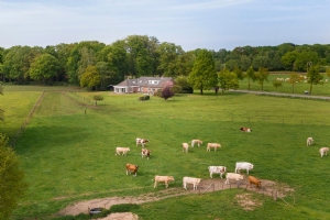 Spitdijk 4, DEVENTER