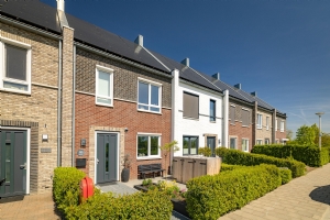 Rietgors 60, OLST